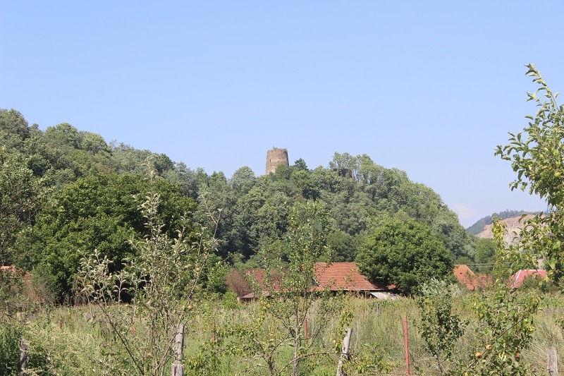 Blick auf die Burg Bologa bei Cluj Napoca (Klausenburg)