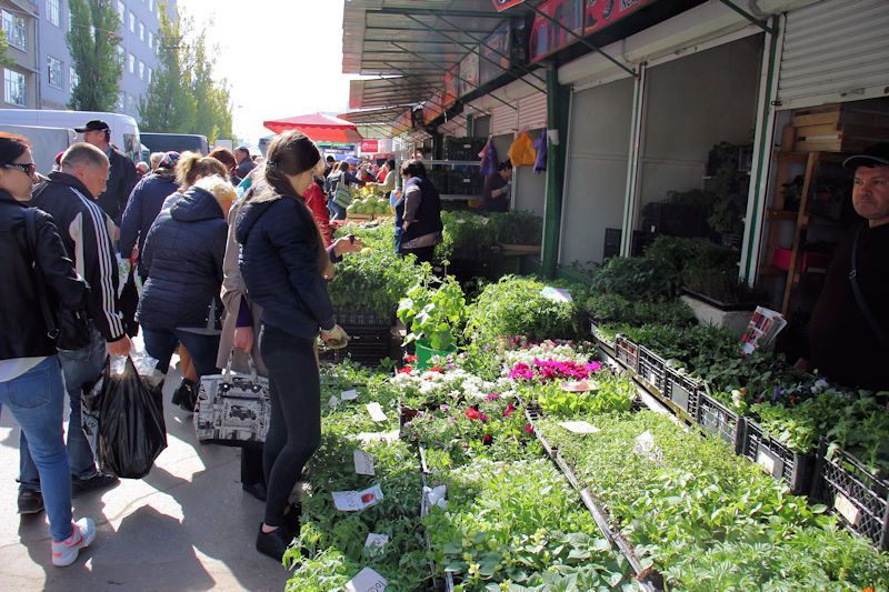 Markt in Chișinău - in der Hauptstadt der Republik Moldau oder Republik Moldova