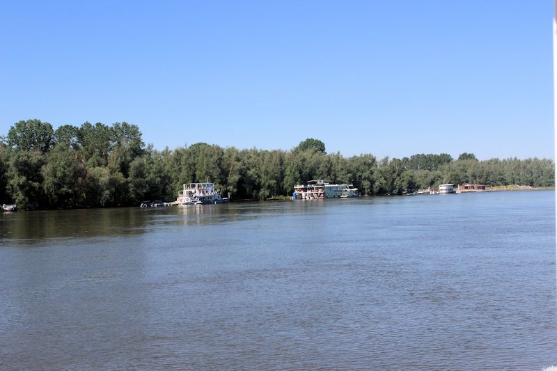 Auf dem südlichen Arm (Sfântu-Gheorghe-Arm) der Donau