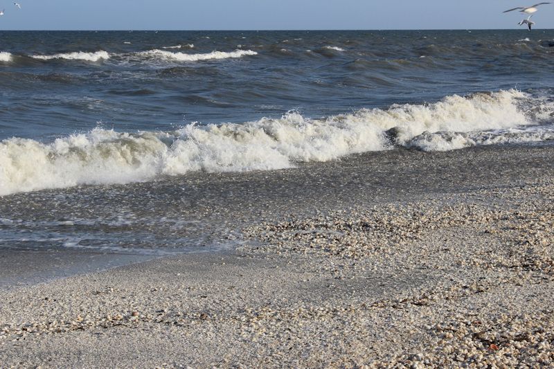 Am Strand von Gura Portitie Am Strand von Gura Portitie