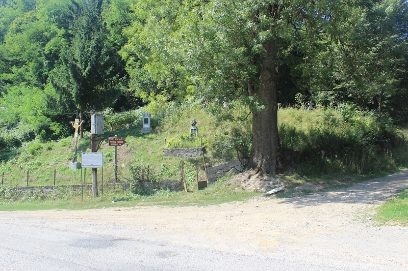 Weg zur Burg Bologa bei Cluj Napoca (Klausenburg)