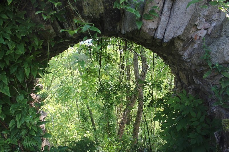 Die Burg Bologa bei Cluj Napoca (Klausenburg)