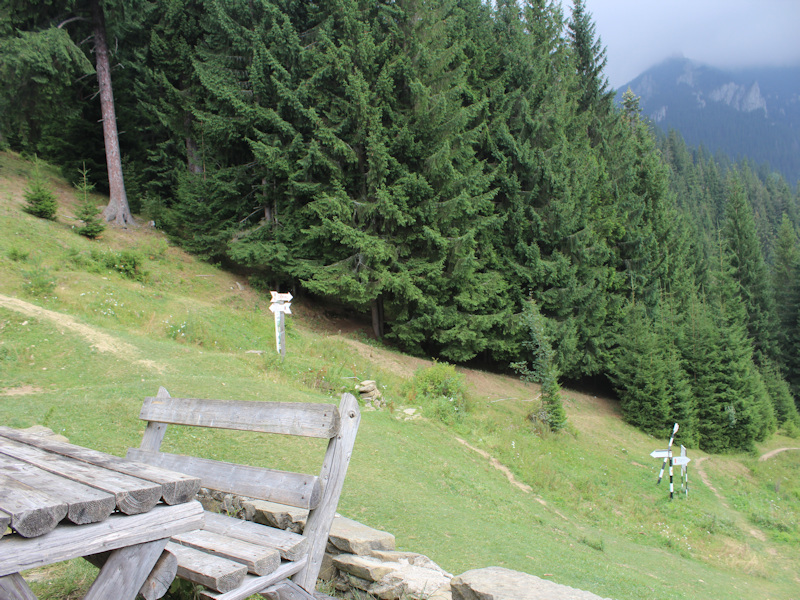 Im Wandergebiet um Ceahlau  /  Muntii Ceahlau