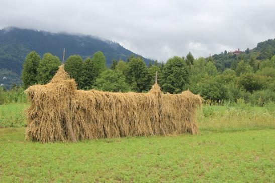 Eindrücke aus Ceahlau