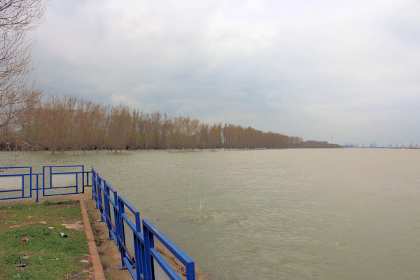 An der Donau bei Brătianu (Ort gegenüber von Galați) am 12. März 2016