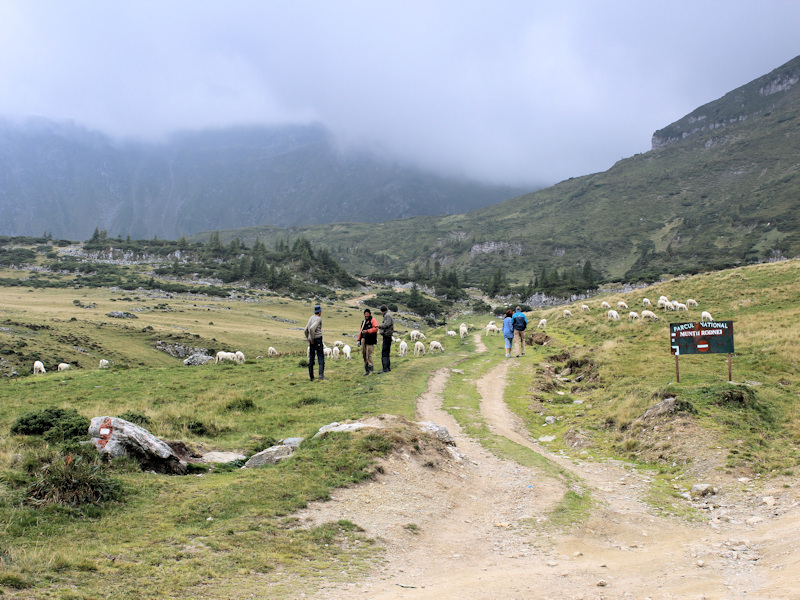 Wanderung im Maramures bei Borsa