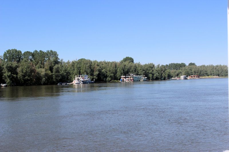 Foto: Auf dem südlichen Arm (Sfântu-Gheorghe-Arm) der Donau Auf dem südlichen Arm (Sfântu-Gheorghe-Arm) der Donau