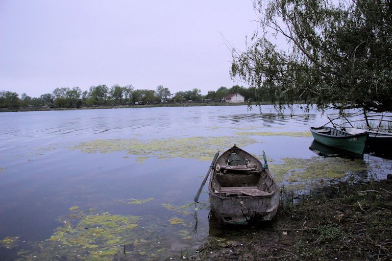 Abendstimmung an der Donau bei Periprava