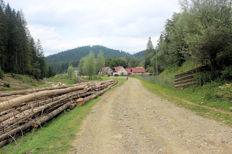 Wanderung in der Umgebung von Putna