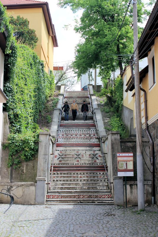 Im Zentrum von Târgu Mureș (Neumarkt am Mieresch)