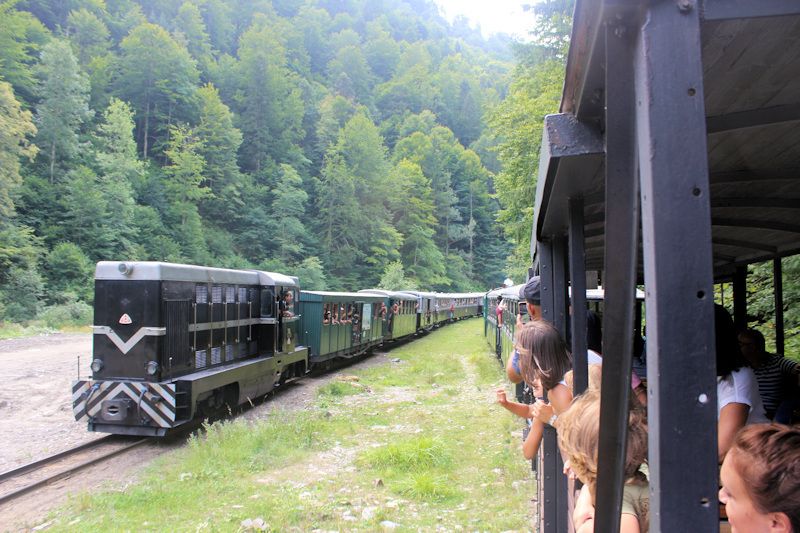 Fahrt mit der Wassertalbahn (Mocănița) Fahrt mit der Wassertalbahn (Mocănița)